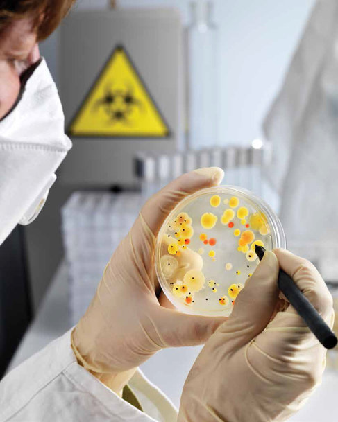 L'importance de la réduction de la contamination en cas d'utilisation d'air comprimé dans le processus de fabrication agroalimentaire